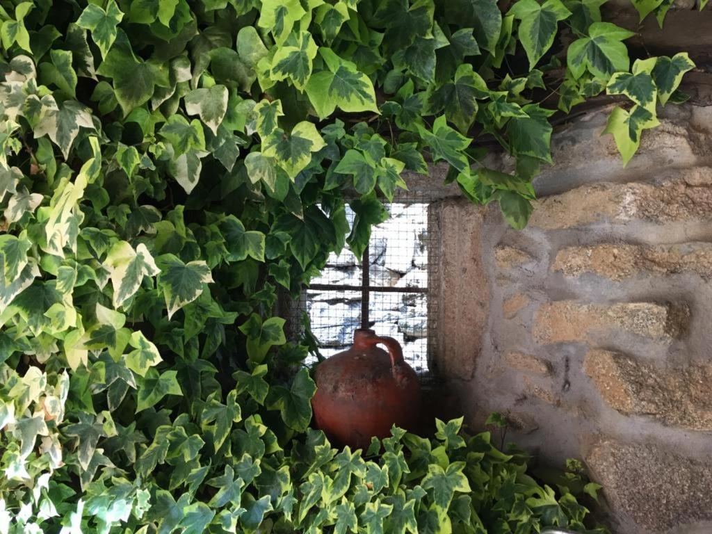 El Capricho De Ana Villa Neila de San Miguel Bagian luar foto